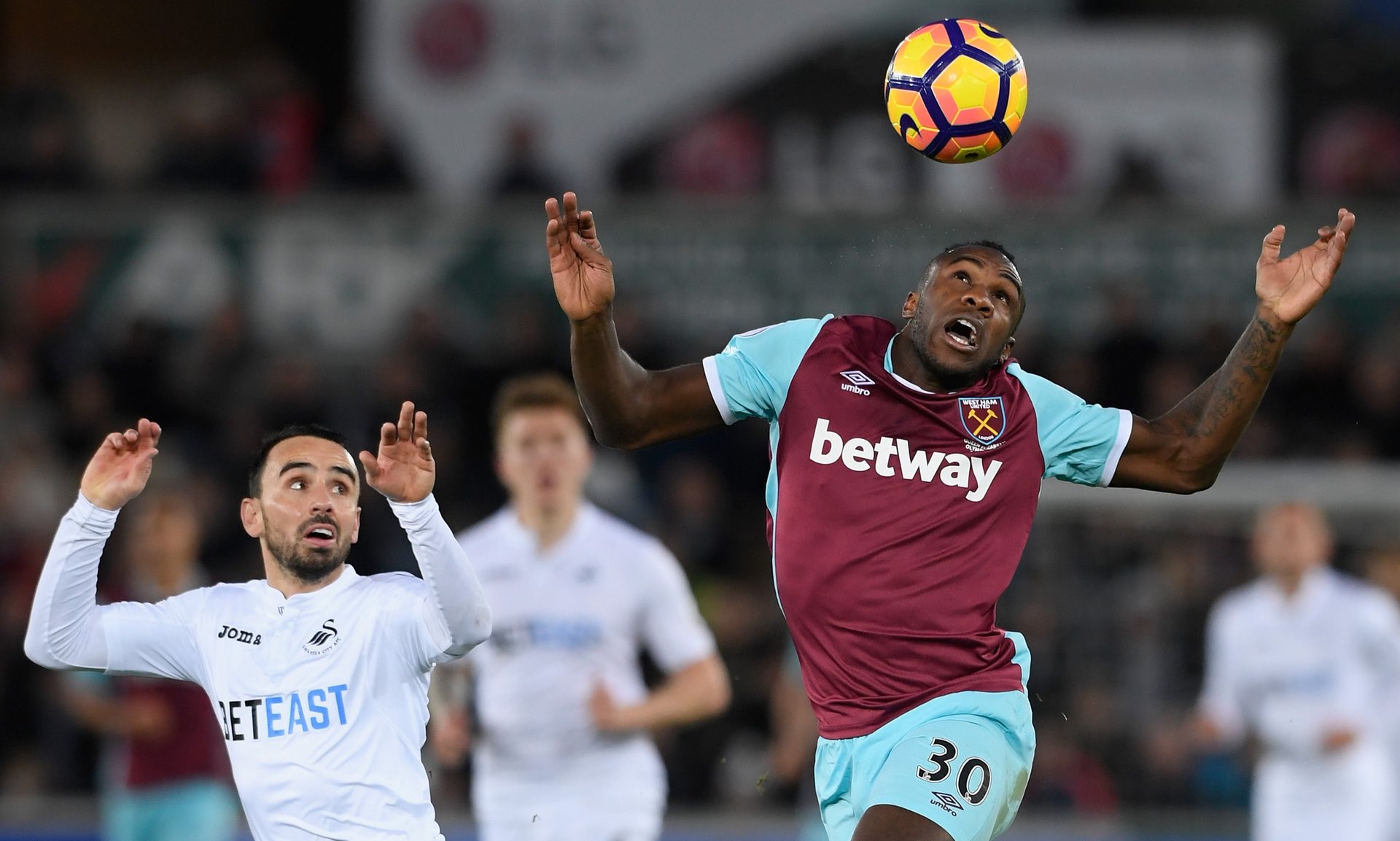 专家的广泛 专家的广泛